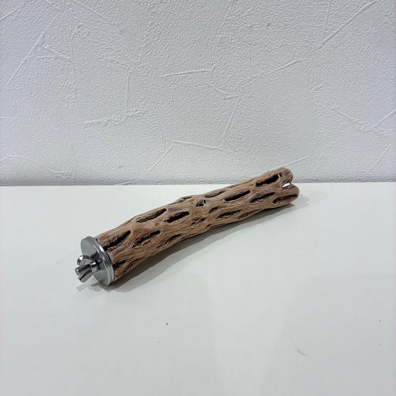 カクタスパーチ極小サイズ⑨ 直径約2.5cm/長さ15cm【自然木 止まり木