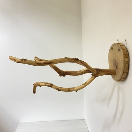 ピノキオの鼻 ④