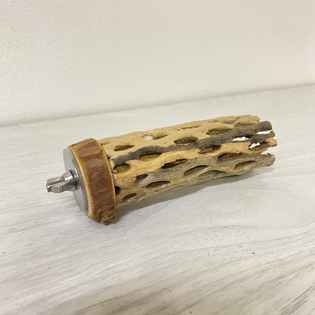 カクタスパーチ④ 極小サイズ 直径（約2-3cm）長さ/10cm