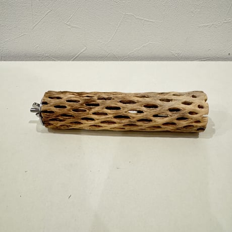カクタスパーチ【⑬小】15cm 直径約3.5cm【サボテンの骨 バンブルフット予防 インコ 止まり木】
