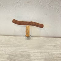自然木（ツタ）のT字パーチ⑥ HOEI465