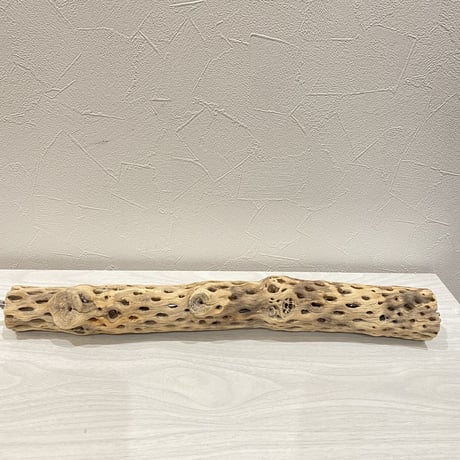 【H様専用】ケージサイズカクタスパーチ  中サイズ（直径約5.5cm）HOEI465