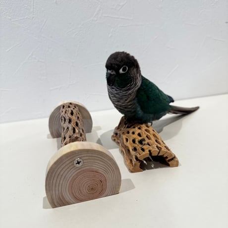 幼鳥・老鳥・介護サポート用　置き型カクタスパーチ 全長19cm/カクタス長さ15cm