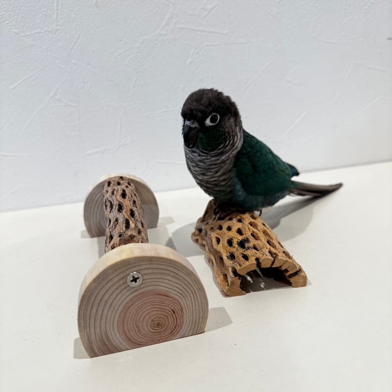 幼鳥・老鳥・介護サポート用 置き型カクタスパーチ 全長19cm/カクタス