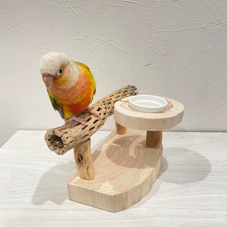 カクタスのおやつ入れ付きスタンドパーチ