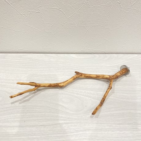 自然木（カイヅカイブキ）のパーチ④　直径0.5～1.5cm／長さ29cm