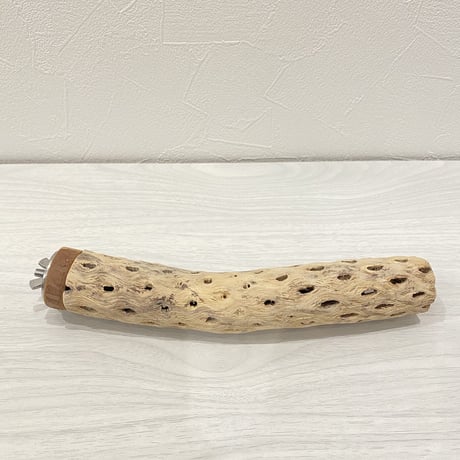 カクタスパーチ② 小サイズ 直径（約3.5cm）長さ/20cm