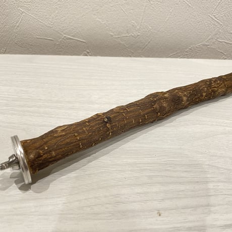 殿様パーチ（自然木ツタ）③ HOEI465サイズ 直径1.8cm