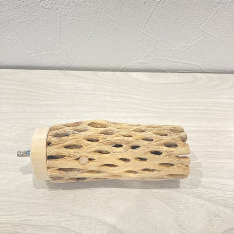 カクタスパーチ②  小　直径4cm前後 長さ10cm