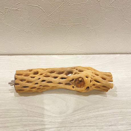 カクタスパーチ【31】直径4~5cm/長さ20cm