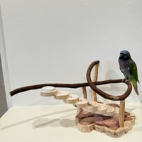 自由にカスタム 壁掛けバードアスレチック【B】【インコのおもちゃ