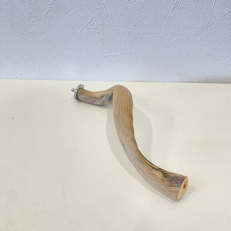 自然木（ツタ皮無し）パーチ 直径1.5~3cm/長さ25cm