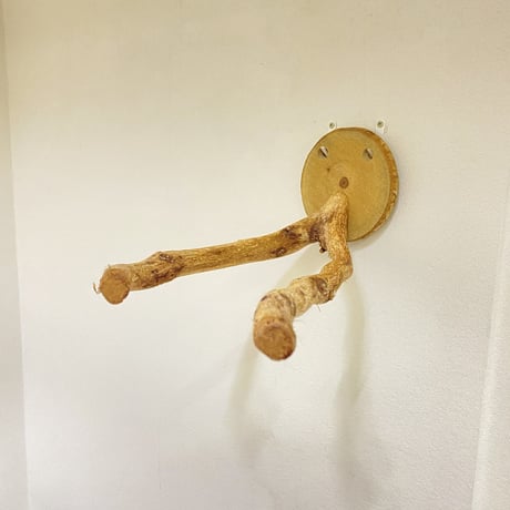 ピノキオの鼻①