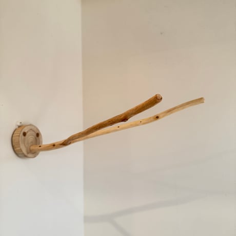 桧のピノキオの鼻②