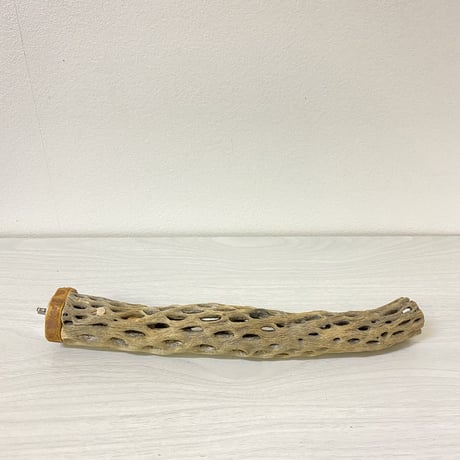カクタスパーチ⑨ 小サイズ 直径（約3-4cm）長さ/26cm