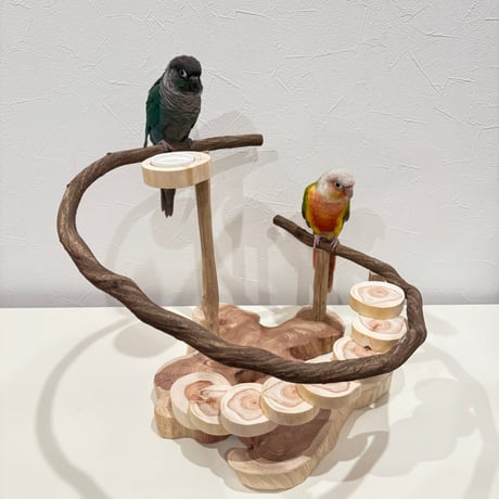 螺旋階段とツタのスタンドパーチ【インコのおもちゃ・ブランコ・自然木のとまり木】バードアスレチック