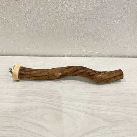 自然木（ツタ）パーチ⑩  直径2cm 長さ20cm