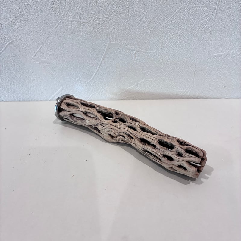 カクタスパーチ極小サイズ⑧ 直径2.5~3cm/長さ15cm【自然木 止まり木