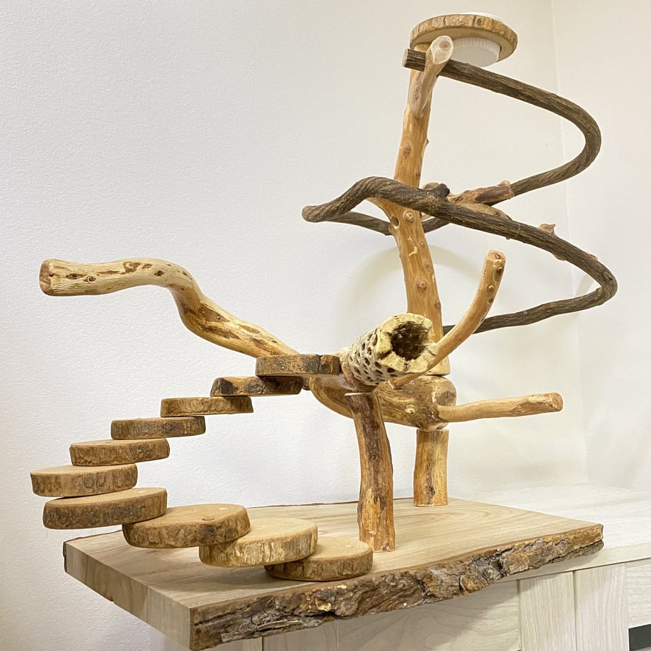 61ead80c0020fc589a314857