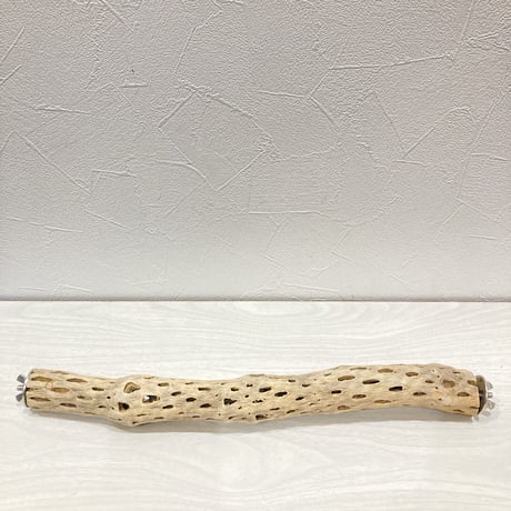 ケージサイズカクタスパーチ極小直径2~3cm HOEI35サイズ