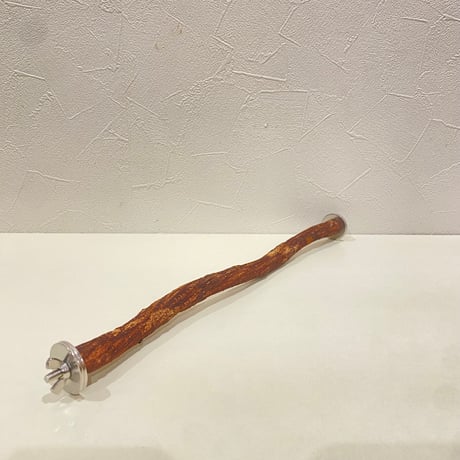 自然木（ツタ）のウネウネ殿様パーチ ②HOEI35