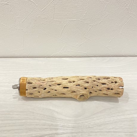 カクタスパーチ⑤ 小サイズ 直径（約3.5cm）長さ/15.5cm