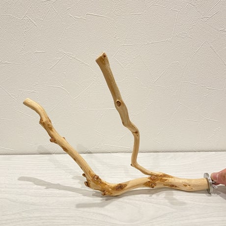 自然木（カイヅカイブキ）のパーチ② 　直径0.8～1.8cm／長さ30cm