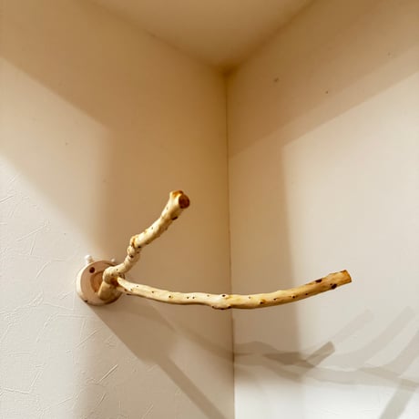 貝塚伊吹のピノキオの鼻② 【インコの止まり木 自然木 天然木】
