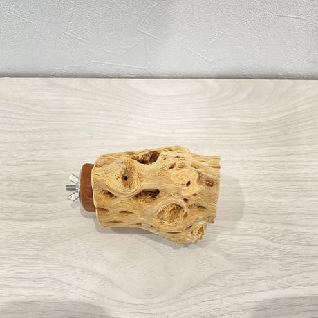 カクタスパーチ③ 中サイズ直径5.5cm/8.5cm