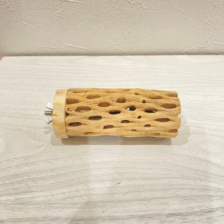 カクタスパーチ【7】直径4~5cm/長さ10cm