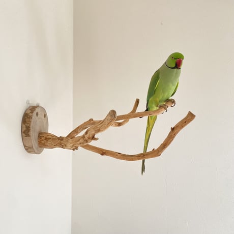 ピノキオの鼻 ⑦