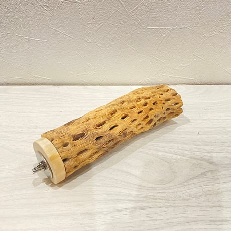 カクタスパーチ【26】直径4~5cm/長さ17cm