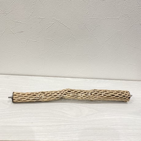 ケージサイズカクタスパーチ⑤  極小サイズ（直径2-3cm）HOEI35