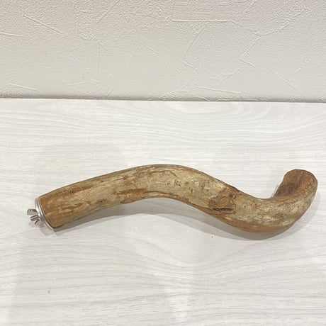自然木（ツタ）パーチ③  中型・大型用