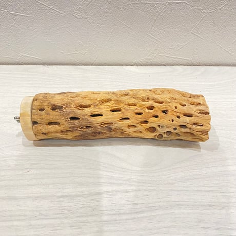 カクタスパーチ【26】直径4~5cm/長さ17cm