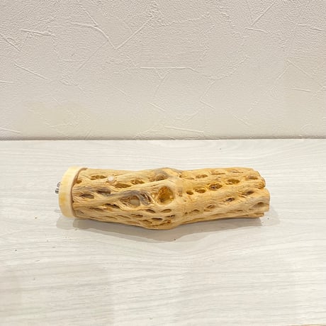 カクタスパーチ【13】中直径約5cm/16cm