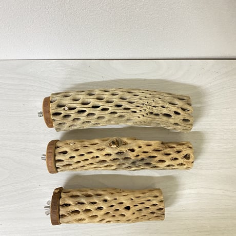 【mei様専用】カクタスパーチ 直径5.5cm前後／20cm 直径3～4cm／15cm・20cm