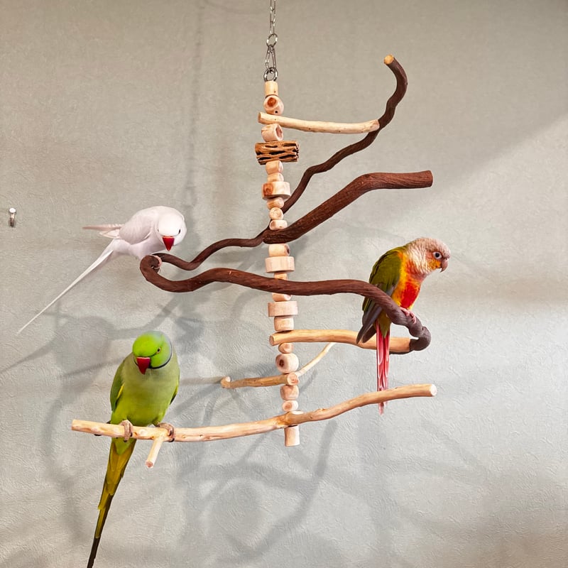 鳥用品 小型〜中型インコ用バードアスレチック