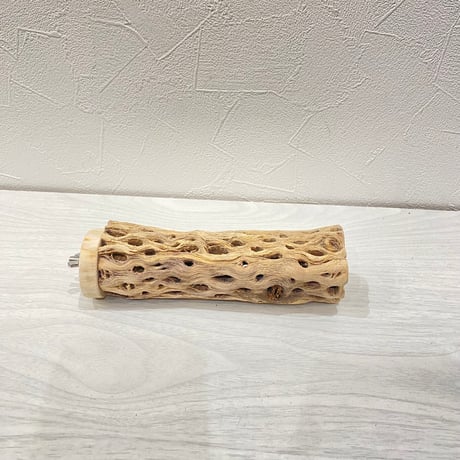 カクタスパーチ③小3-4㎝長さ15㎝