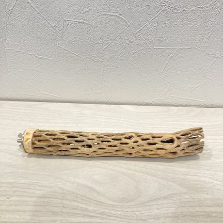 カクタスパーチ極小⑬ 直径約2~3cm 長さ20cm
