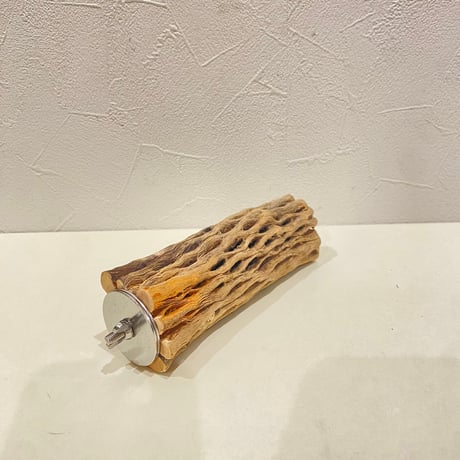 カクタスパーチ④ 直径約4.5cm/長さ15cm