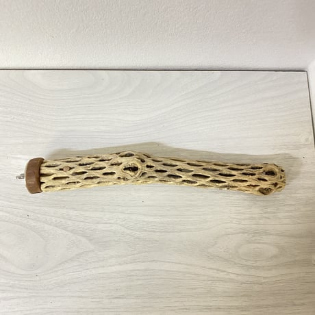 カクタスパーチ 極小サイズ⑩直径（約2-3cm）長さ/24cm