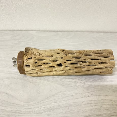 カクタスパーチ 中サイズ② 直径約5cm 長さ/15cm