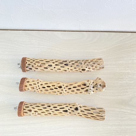 【momorin様専用】カクタスパーチ 極小20cm×3