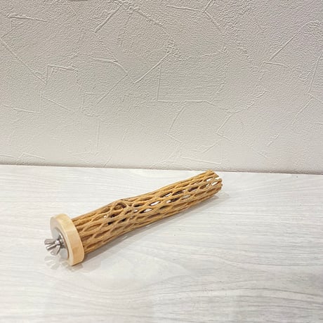 カクタスパーチ⑧小3-4㎝長さ18㎝