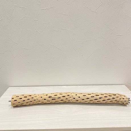 ケージサイズカクタスパーチ① 小直径3〜4cm HOEI465