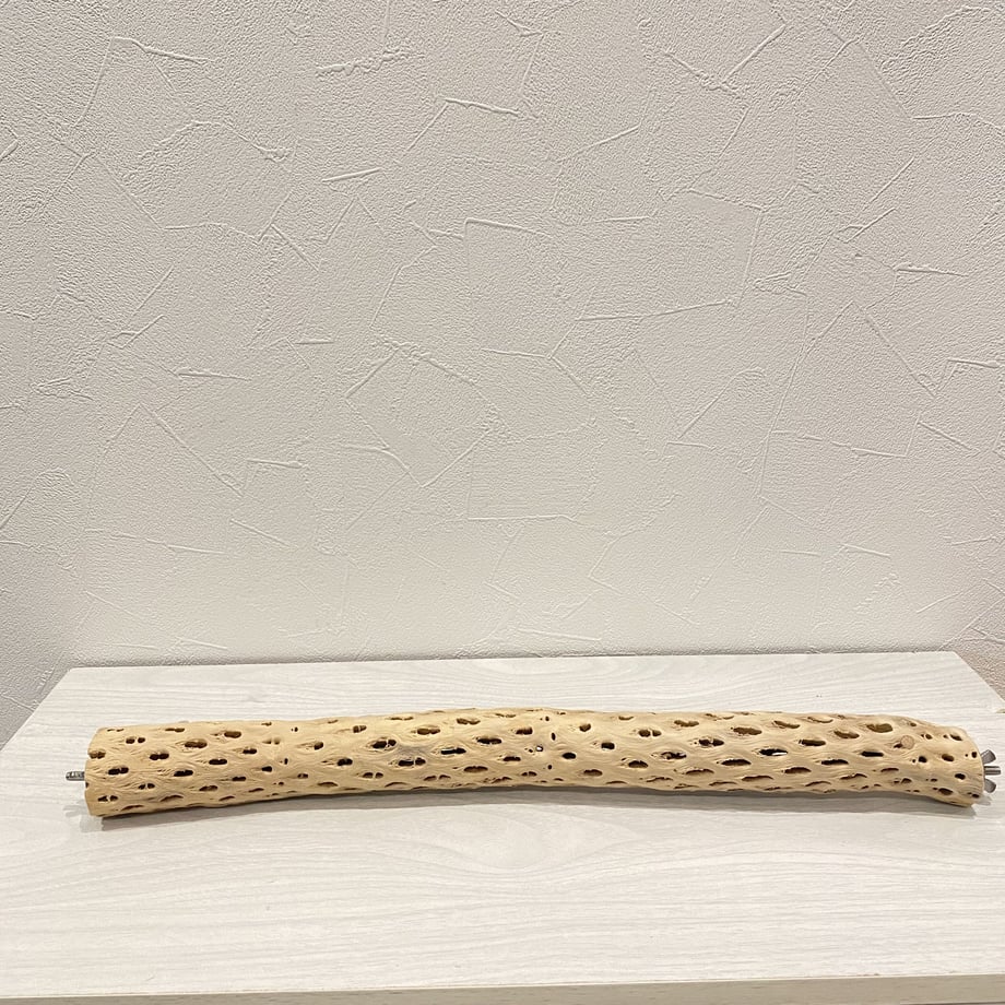 6458c1aca75109002ceb490c