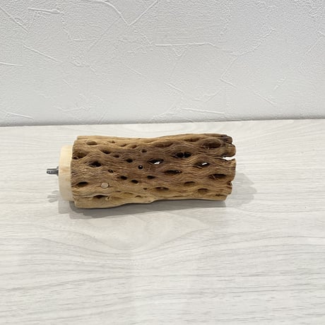 カクタスパーチ⑧ 中直径5.5cm 長さ13cm