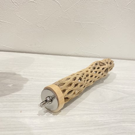 カクタスパーチ⑫ 極小サイズ直径3cm前後/17cm