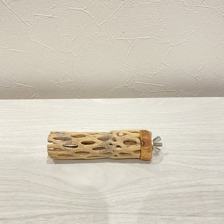 カクタスパーチ⑱ 極小直径2-3cm/10cm